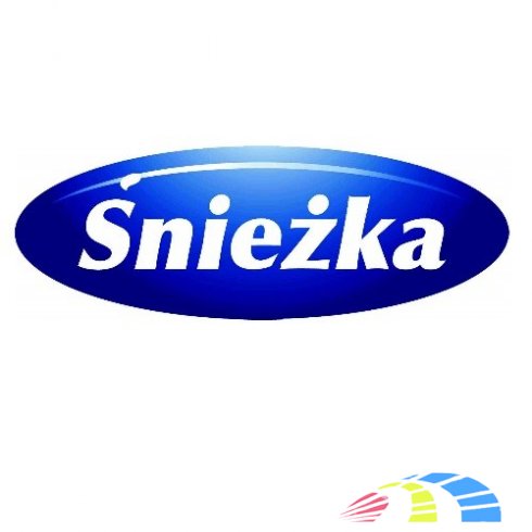 Компания Sniezka и ее продукция