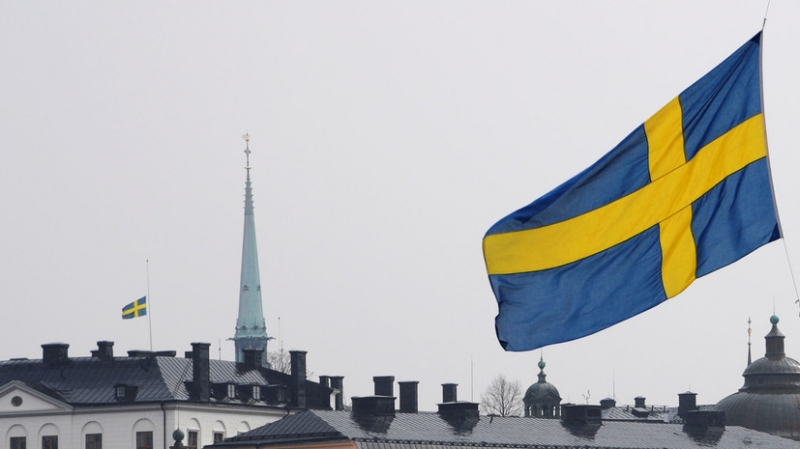 В Швеции предложили поддержать «сторонников демократии» в России