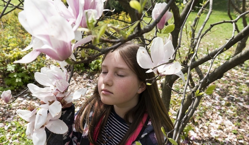 Приметы весны 2021 для детей: как определить по природе, что нас ждет весной