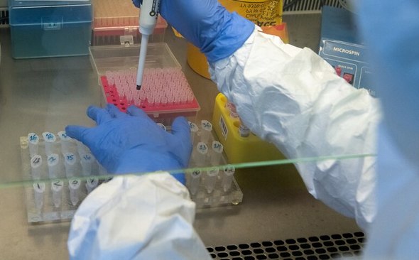 В Дании выявили первый случай заражения штаммом коронавируса из ЮАР