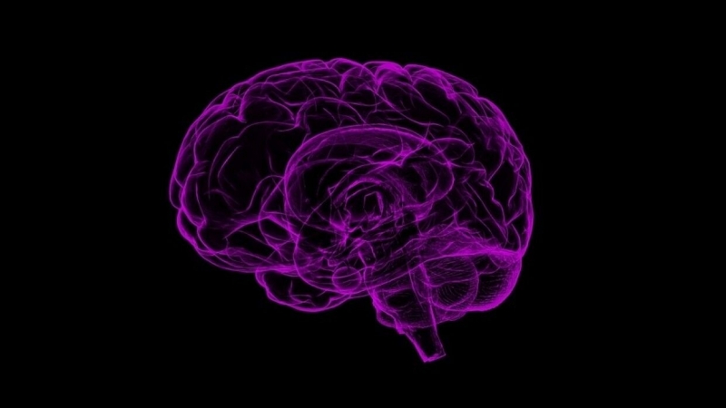 Невролог Грибанов рассказал, как восстанавливать мозг после перенесенного COVID-19 - Новости