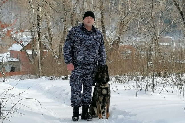 На Урале полицейский-кинолог спас замерзавшего на трассе пса