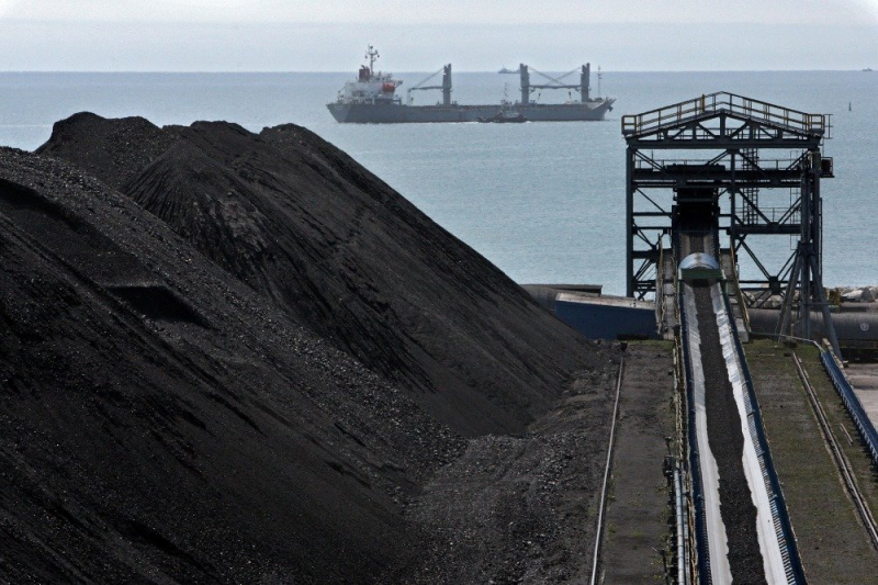 Сбор за перевалку угля в портах ДФО могут направить на экологический туризм