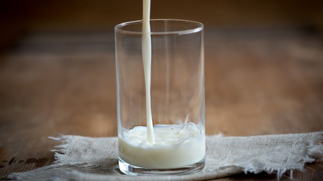 Употребление сырого молока может привести к заражению энцефалитом