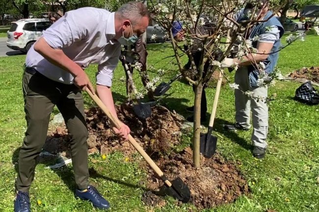 Евгений Попов: На Мичуринском проспекте высадили более 100 яблонь
