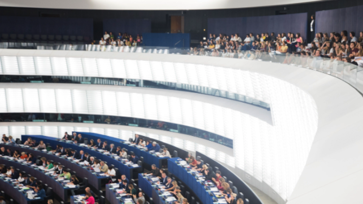 Российские политики указали на безграмотность Европарламента