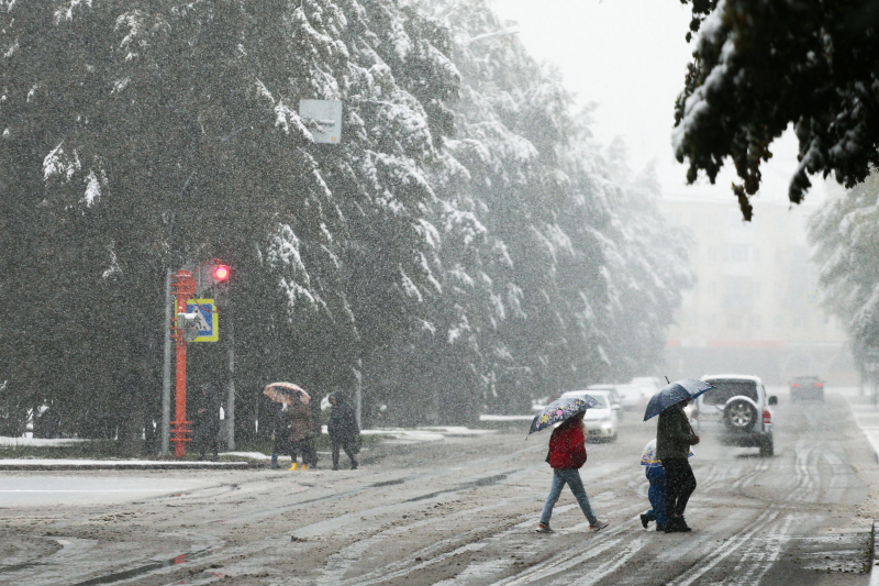 Вильфанд: После мокрого снега в Москве потеплеет до +15 градусов