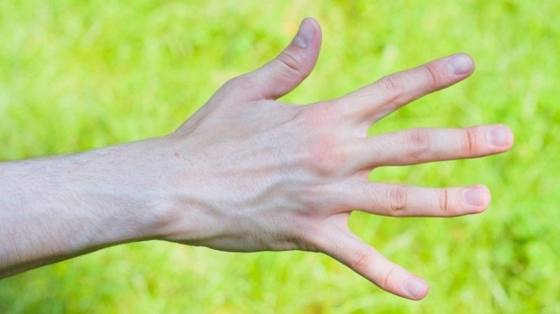 Что о характере человека говорит длина пальцев руки