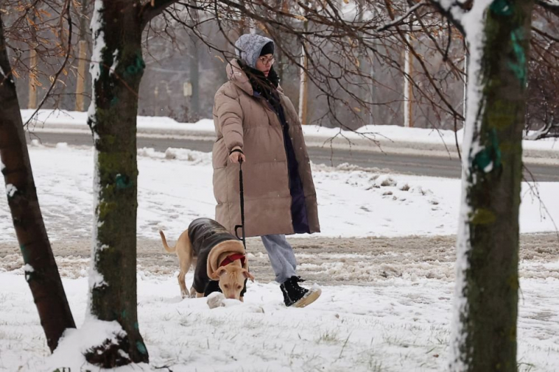 В Гидрометцентре сообщили о похолодании в Москве с 10 декабря