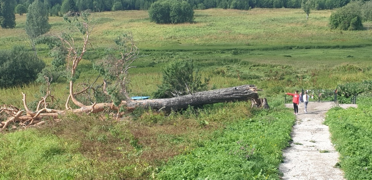 В Коми округе показали, что скрыли во время визита Махонина. «Стыдно должно быть». Фото