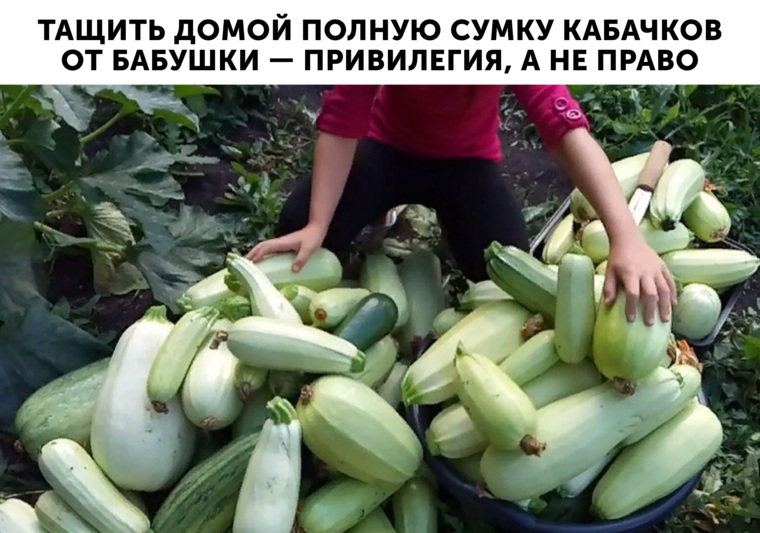 Пермские инсайды: истерика министерства из-за бабушки