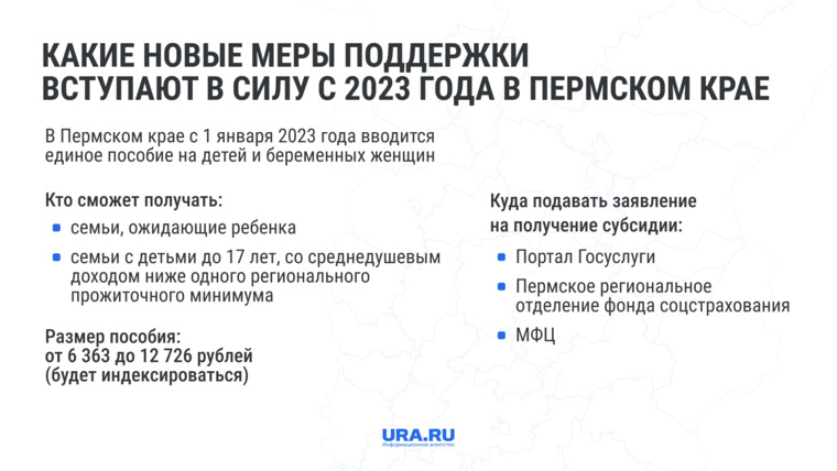 Жителей Пермского края в 2023 году ждут новые выплаты. Инфографика