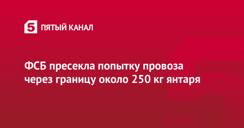 ФСБ пресекла попытку провоза через границу около 250 кг янтаря