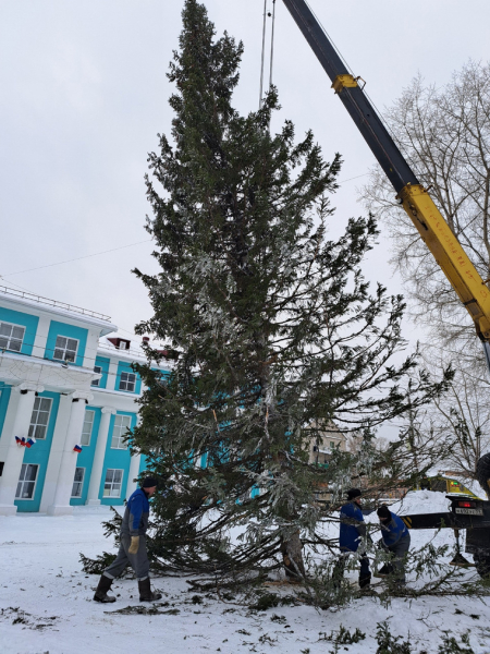 Новогодние елки вызвали протесты в Пермском крае. Фоторепортаж