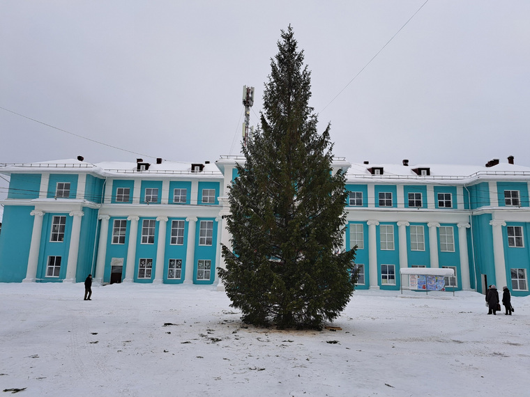 Новогодние елки вызвали протесты в Пермском крае. Фоторепортаж