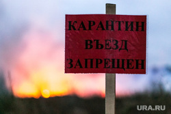 В Пермском крае введен карантин по бешенству животных